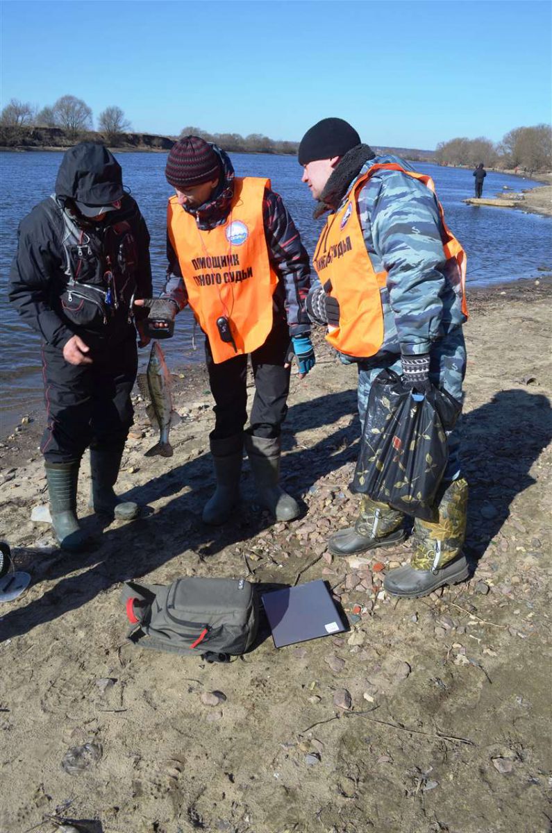 resize 29.03.14  Кубок МР 229