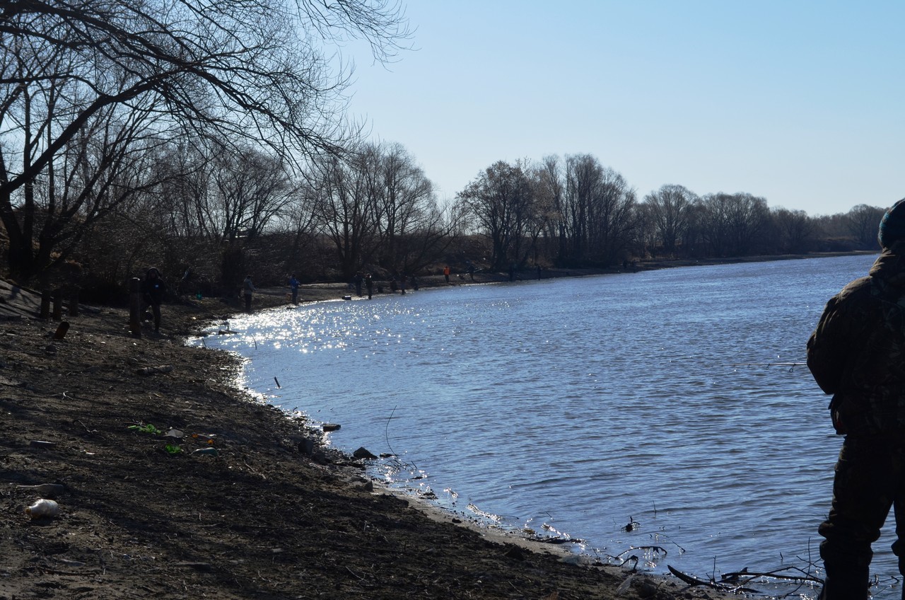29.03.14  Кубок МР 201