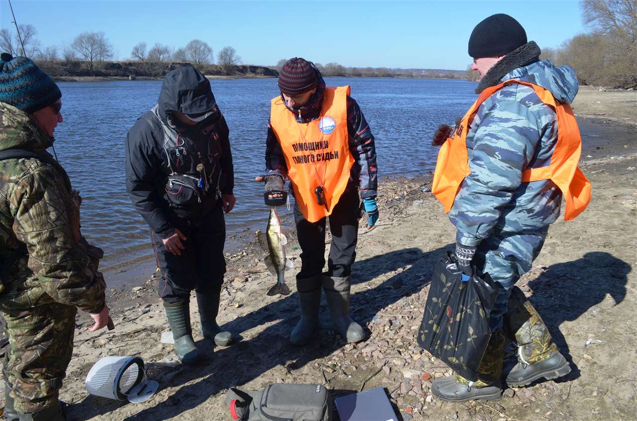 resize 29.03.14  Кубок МР 226