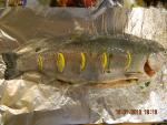 DSCN1521.JPG