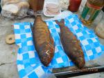 DSCN1477.JPG