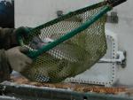DSCN1509.JPG