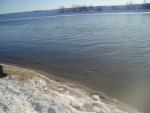 DSC01040.JPG