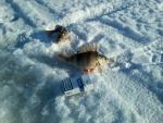 20140130_134857.jpg
