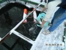 DSCN6109.JPG