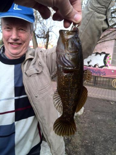 бык_20150430_184746.jpg