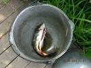 DSCN6958.JPG