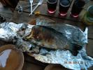 DSCN7056.JPG