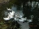 DSCN6923.JPG