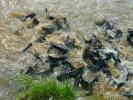 DSCN7581.JPG