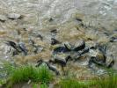 DSCN7582.JPG