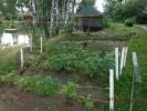 DSCN7335.JPG