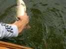 DSCN7519.JPG