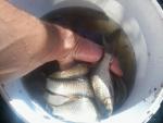20140707_084913.jpg