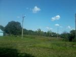 20140707_115229.jpg