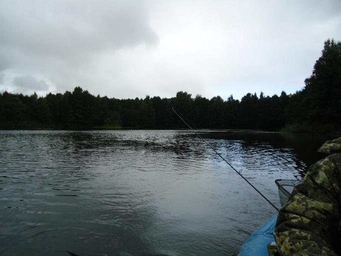 DSC05844.JPG