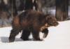 clip_image002.jpg