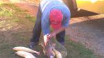 09_imag0300.jpg