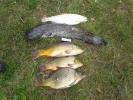 02_2012_08_31_14.56.33.jpg