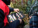 DSCN8366.JPG