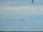 87_dscn0489.jpg
